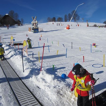 Abelhof Villa Schladming Kültér fotó