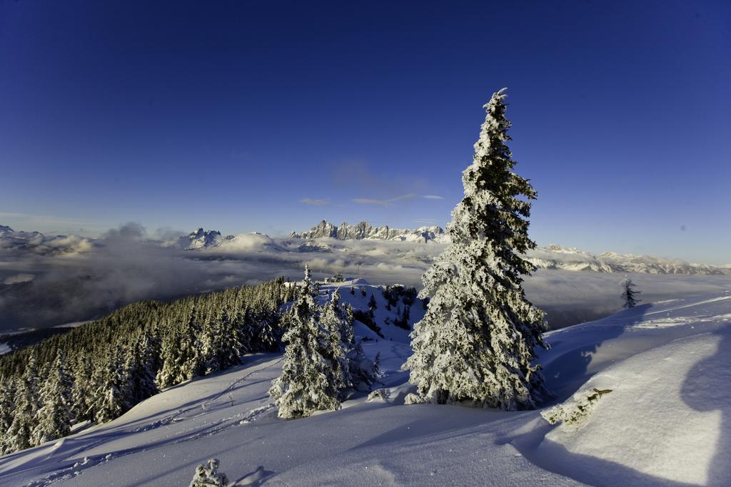 Abelhof Villa Schladming Kültér fotó