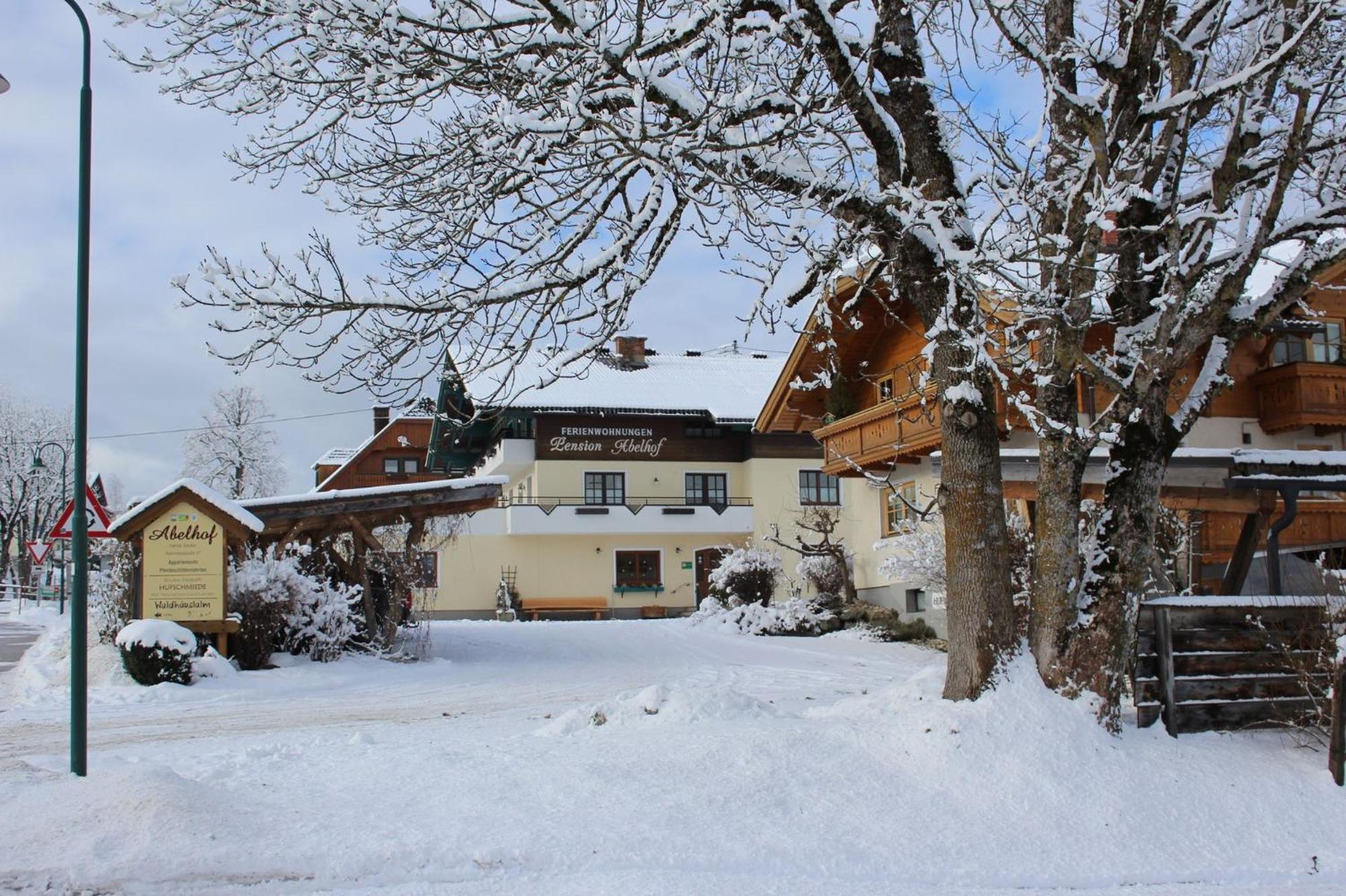 Abelhof Villa Schladming Kültér fotó