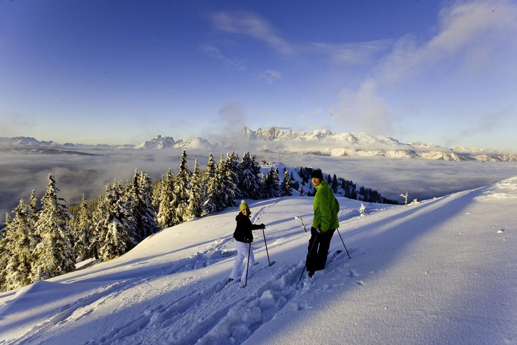 Abelhof Villa Schladming Kültér fotó