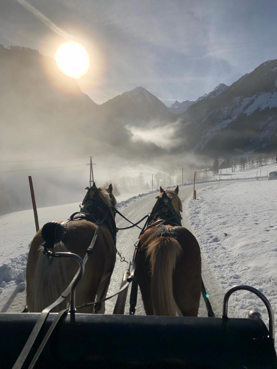 Abelhof Villa Schladming Kültér fotó